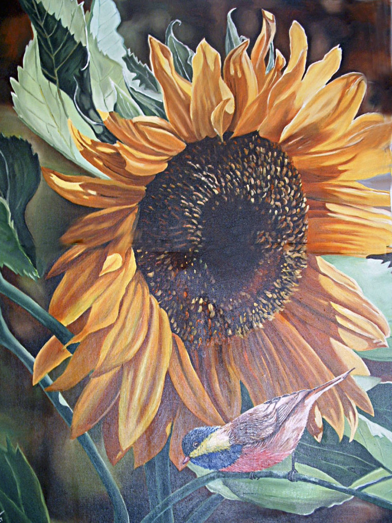 Sunflower