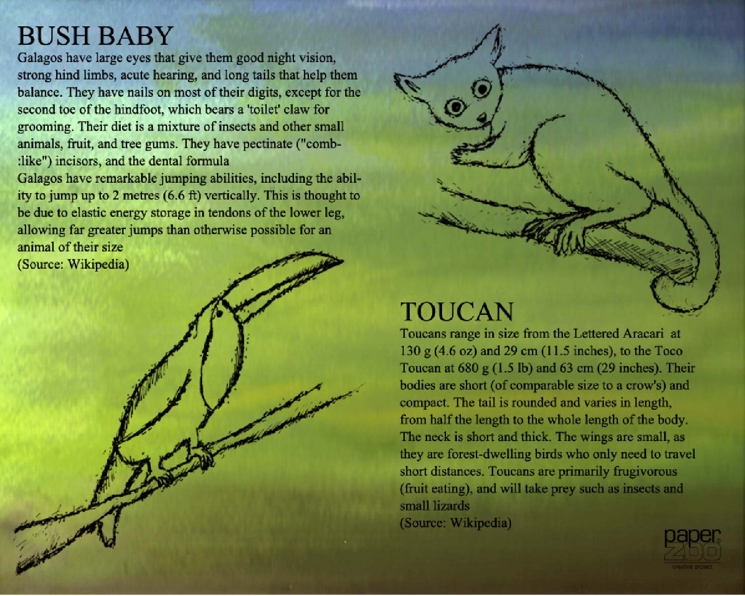 Zoo Paper-3