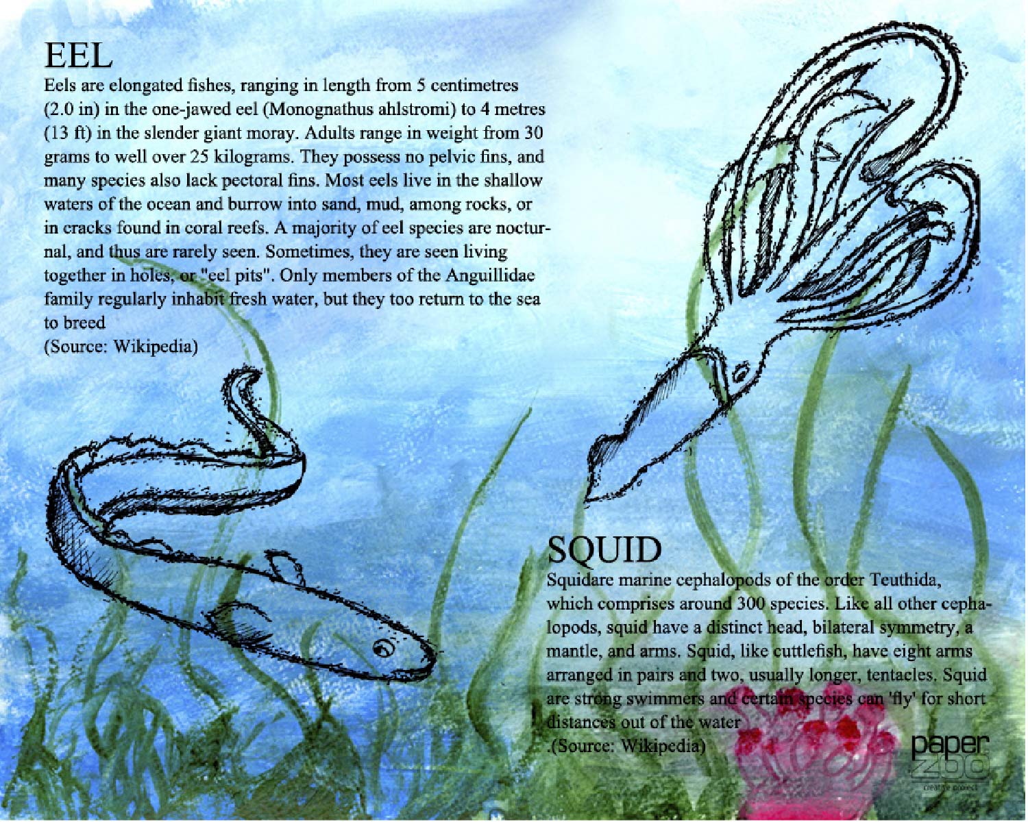 Zoo Paper-2