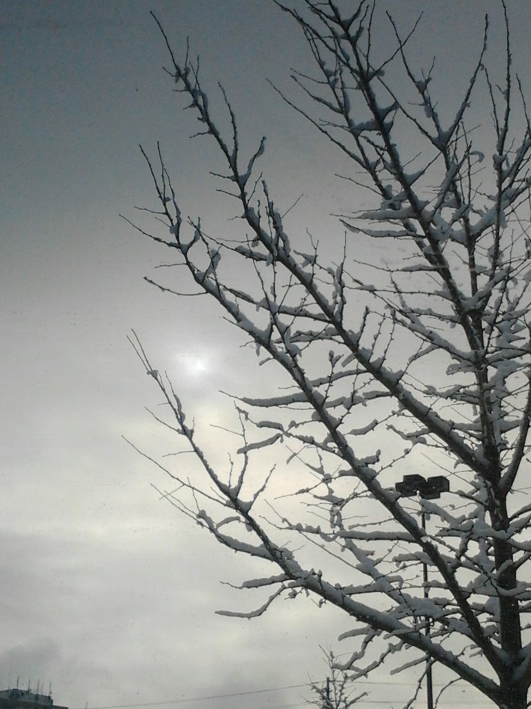 Natuer 4